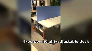Professionally Customized Electric Standing Desk 4 Person Height Adjustable Office Workstation