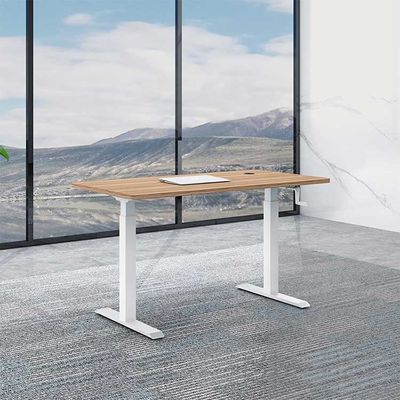 1.6M Electric Sit Stand Desk Ergonomic Lifting Standing Table