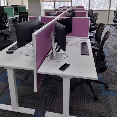 5-Person Modular Office Workstation Desk - Customizable