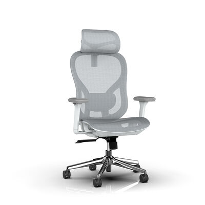 Modern Grey Full Mesh Ergonomic Office Chair with 4D Adjustable Armrests and 2D Headrest