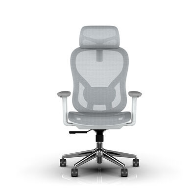 Modern Grey Full Mesh Ergonomic Office Chair with 4D Adjustable Armrests and 2D Headrest