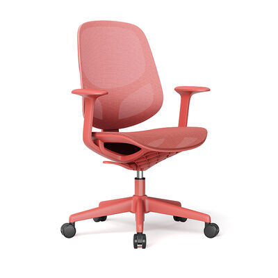 Breathable Mesh Office Chair with Adjustable Height and PP Five-Star Base for Ergonomic Support